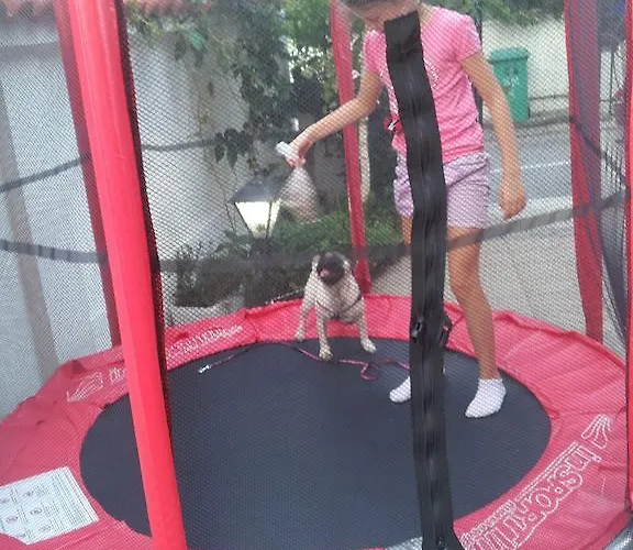 Vromos