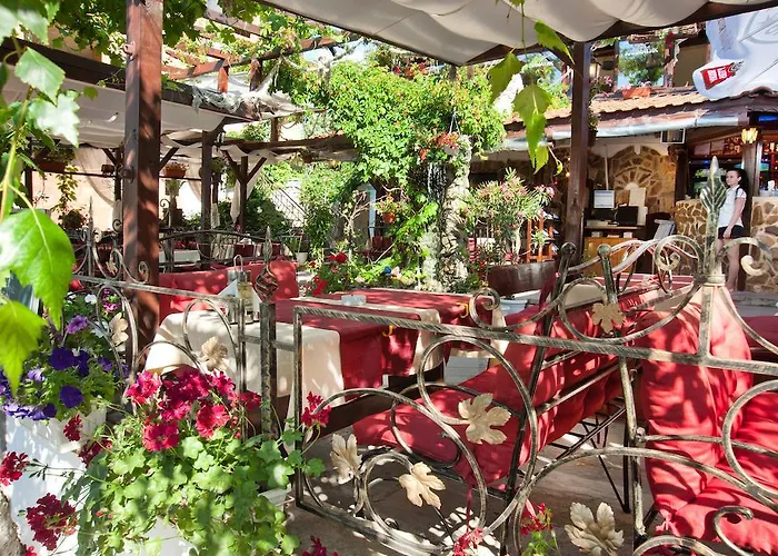 Casa de hóspedes Vromos